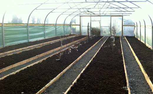 The 'Growning 
Locally' Polytunnel